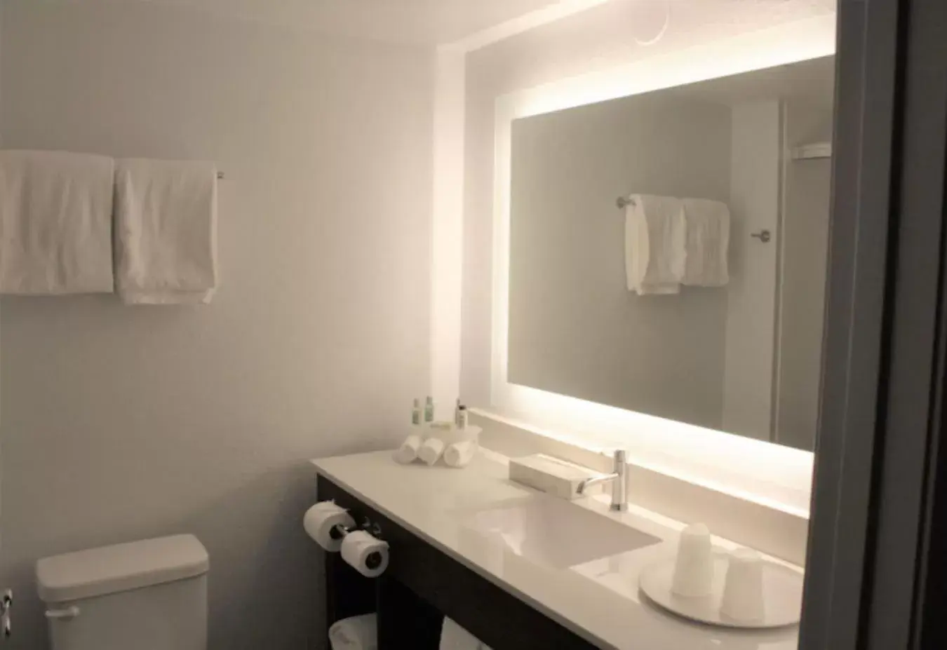 Toilet in Holiday Inn Express Atlanta - Northeast I-85 - Clairmont Road by IHG Toilet in Holiday Inn Express Atlanta - Northeast I-85 - Clairmont Road by IHG