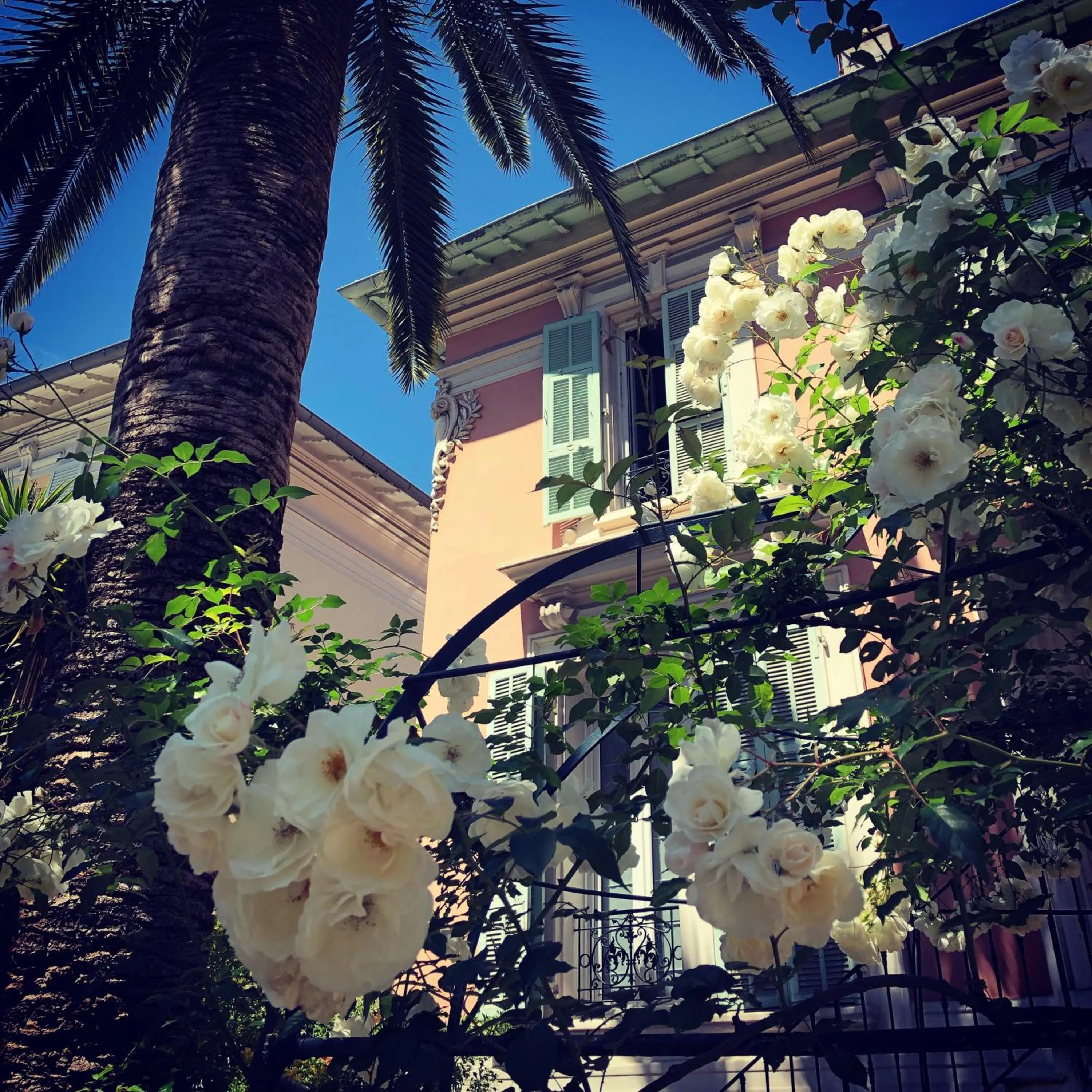 Patio in Hotel Villa Rose