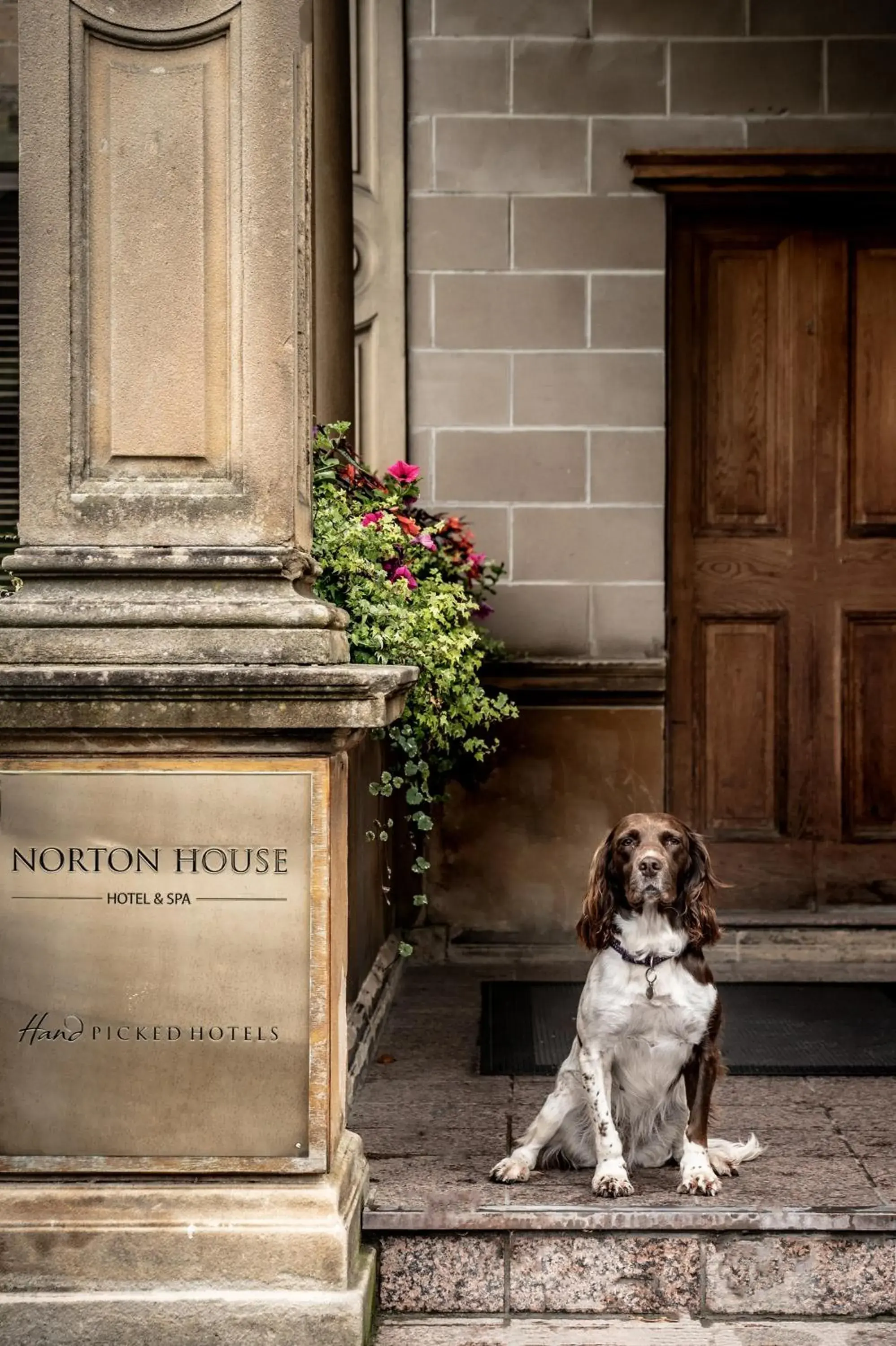Animals in Norton House Hotel & Spa, Edinburgh Animals in Norton House Hotel & Spa, Edinburgh
