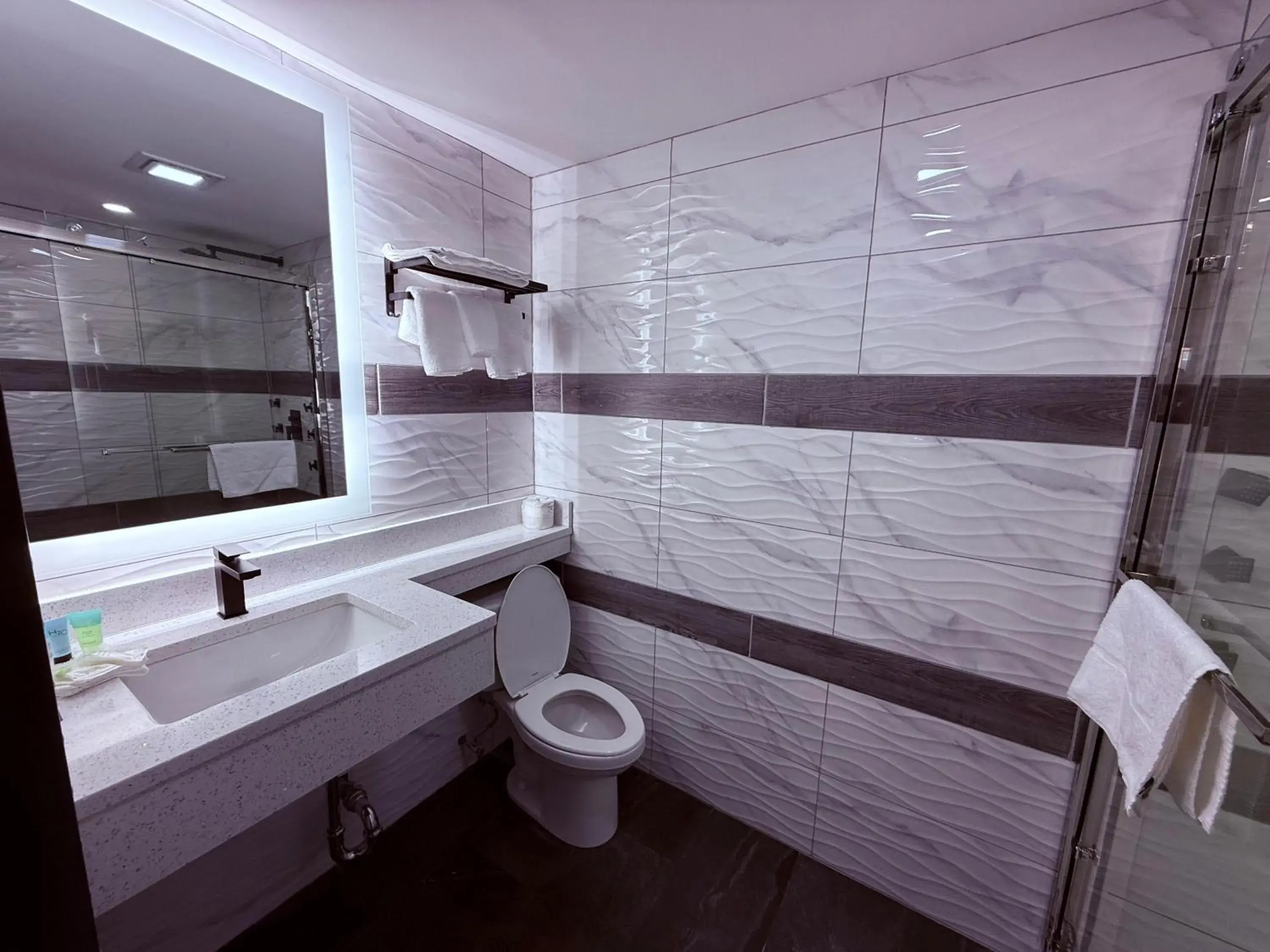 Toilet in The Vine Hotel Bronx New Toilet in The Vine Hotel Bronx New