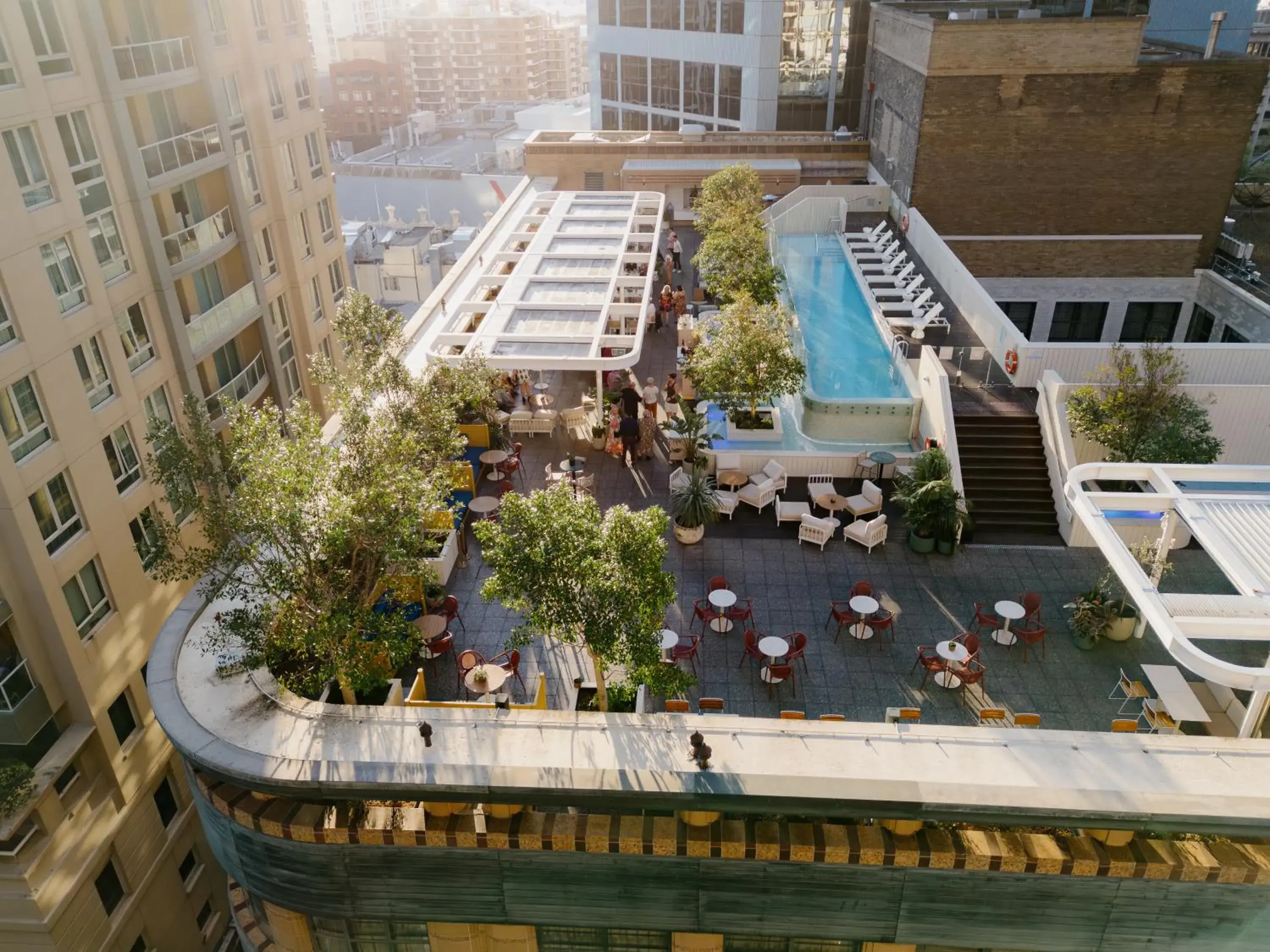 Swimming pool in Kimpton Margot Sydney by IHG Swimming pool in Kimpton Margot Sydney by IHG