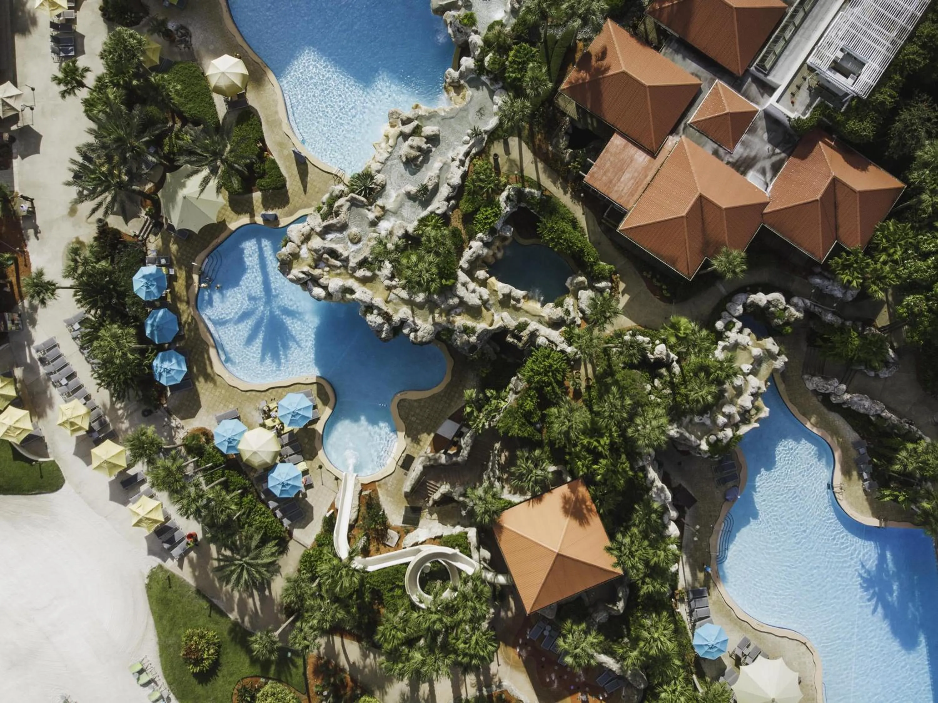 Swimming pool in Hyatt Regency Grand Cypress Resort - Free Shuttle to Theme Parks!