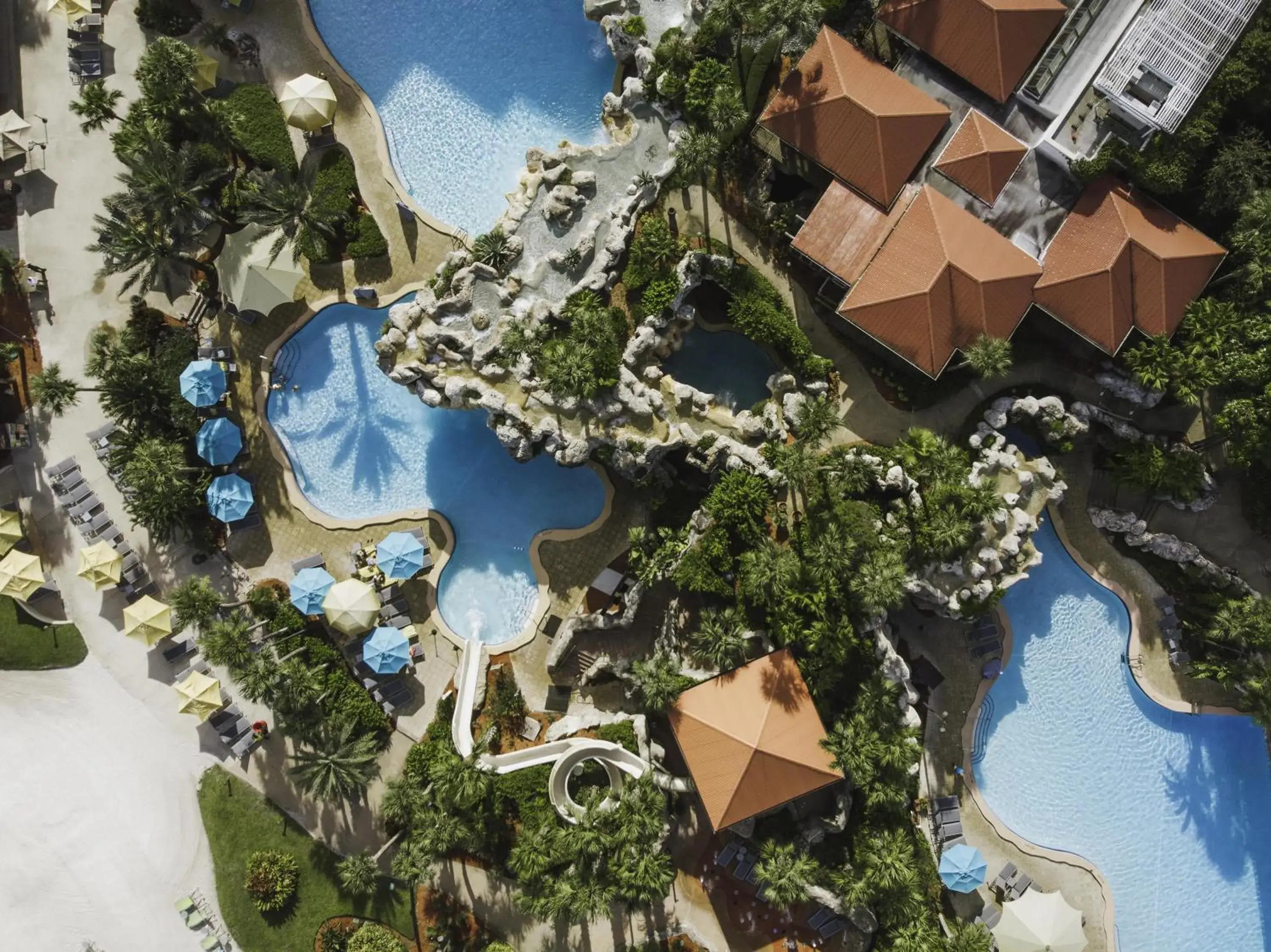 Swimming pool in Hyatt Regency Grand Cypress Resort - Free Shuttle to Theme Parks! Swimming pool in Hyatt Regency Grand Cypress Resort - Free Shuttle to Theme Parks!