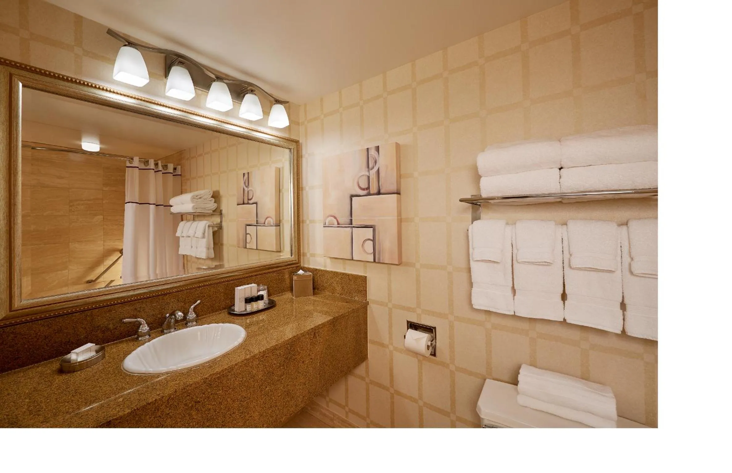 Toilet in Golden Nugget Hotel & Casino Las Vegas