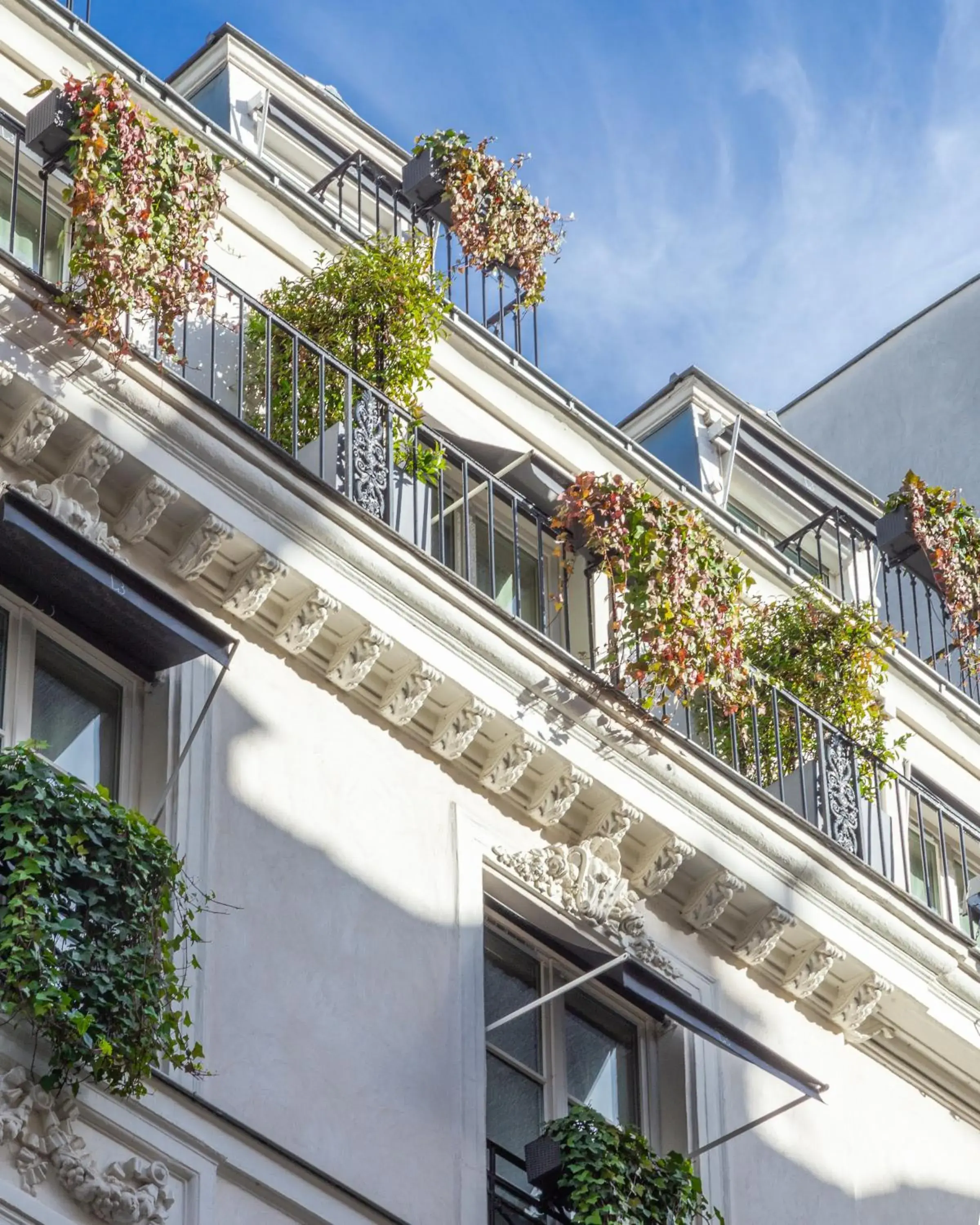 Balcony/Terrace in Le Burgundy Paris Balcony/Terrace in Le Burgundy Paris