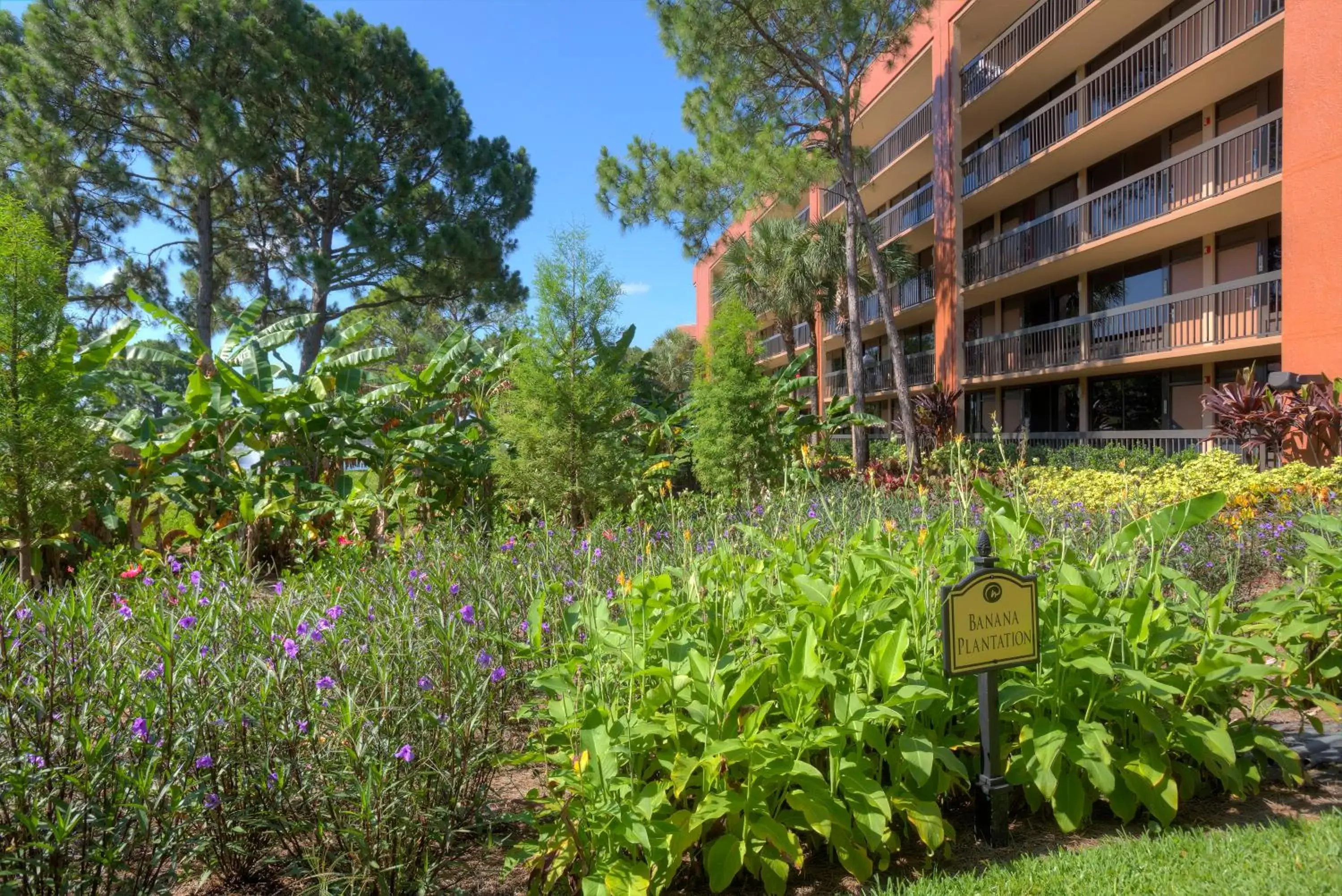 Property building in Rosen Inn Lake Buena Vista Property building in Rosen Inn Lake Buena Vista