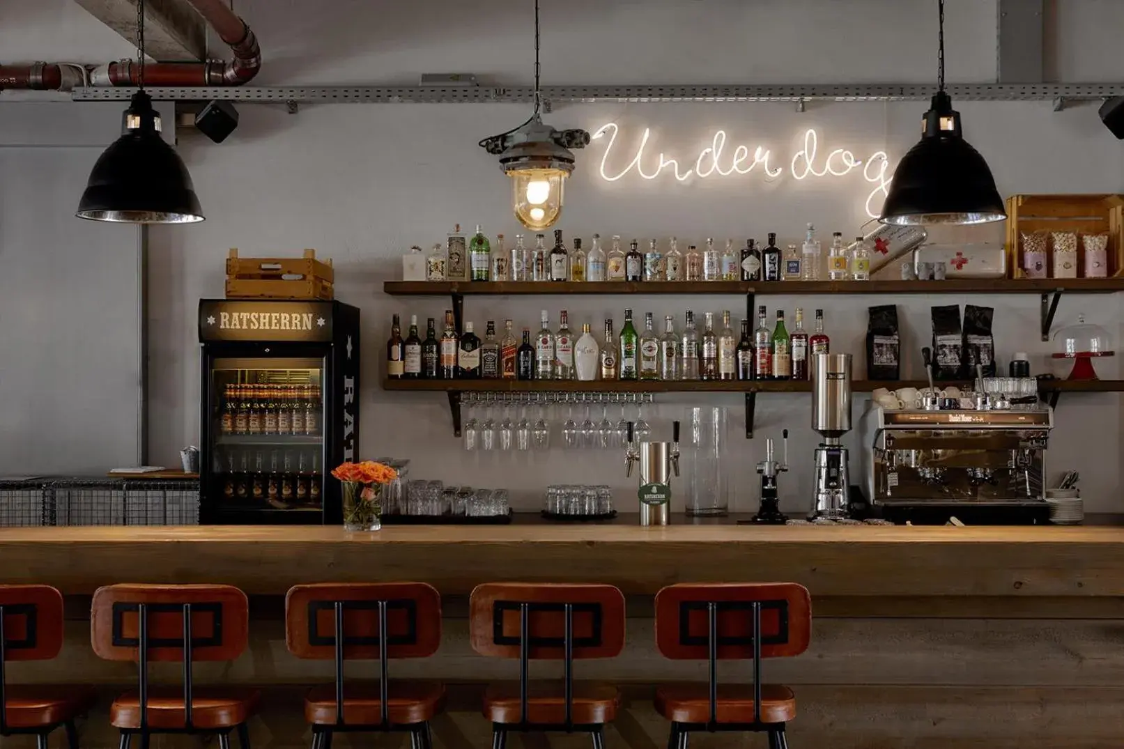 Lounge or bar in Underdog Hotel Lounge or bar in Underdog Hotel