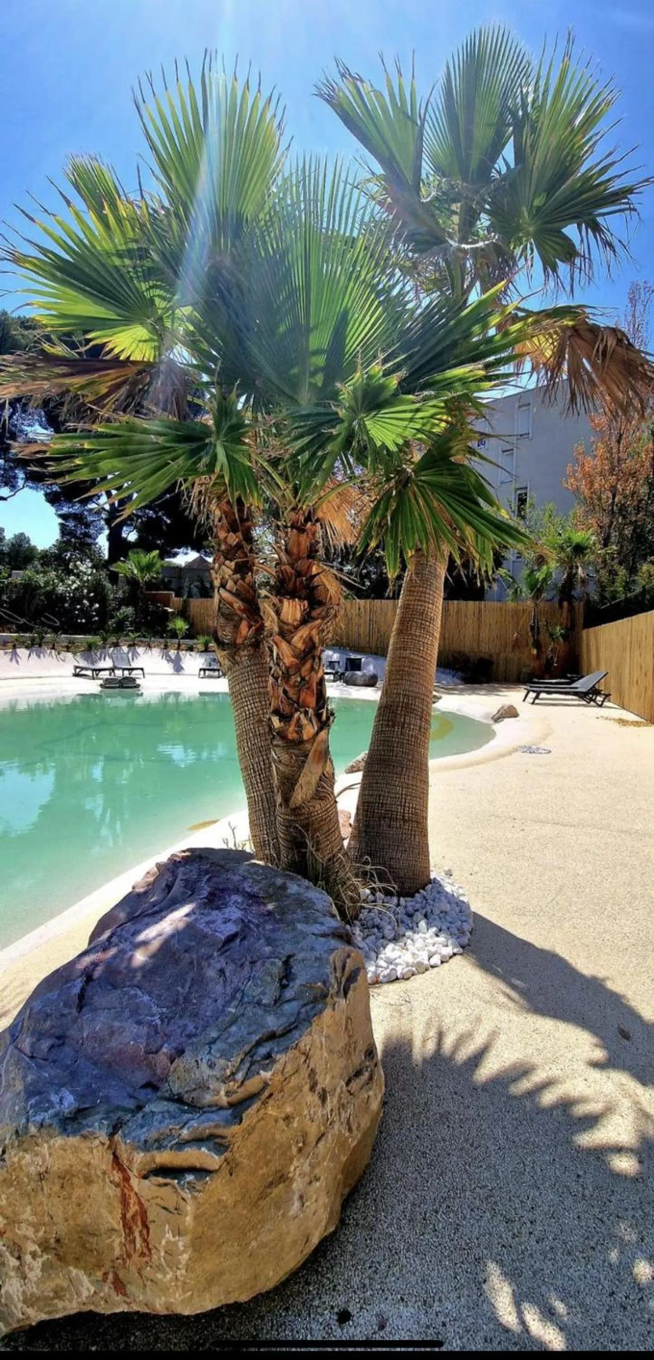 Swimming pool in Le Drip's