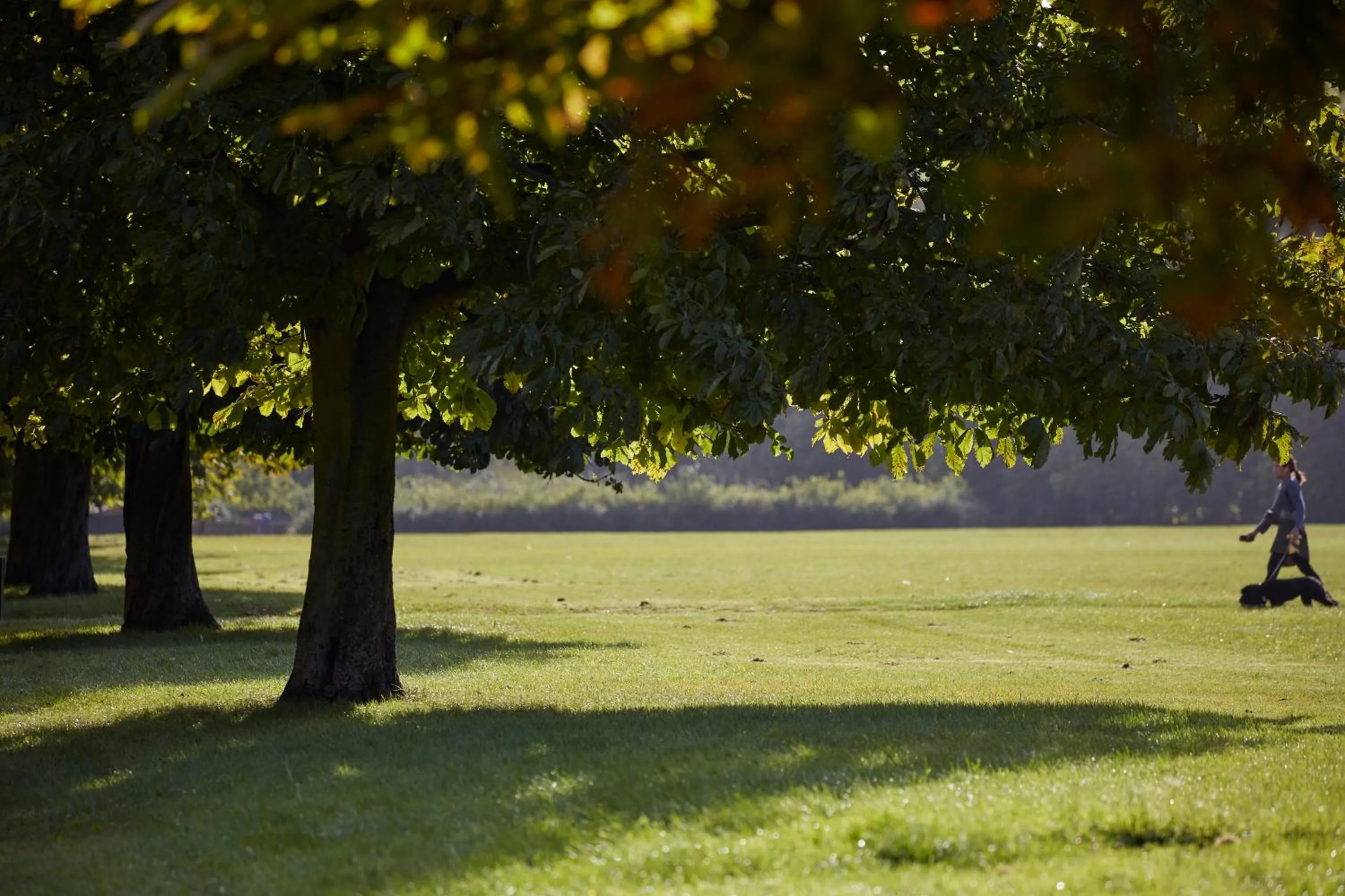 Neighbourhood in Mandarin Oriental Hyde Park, London